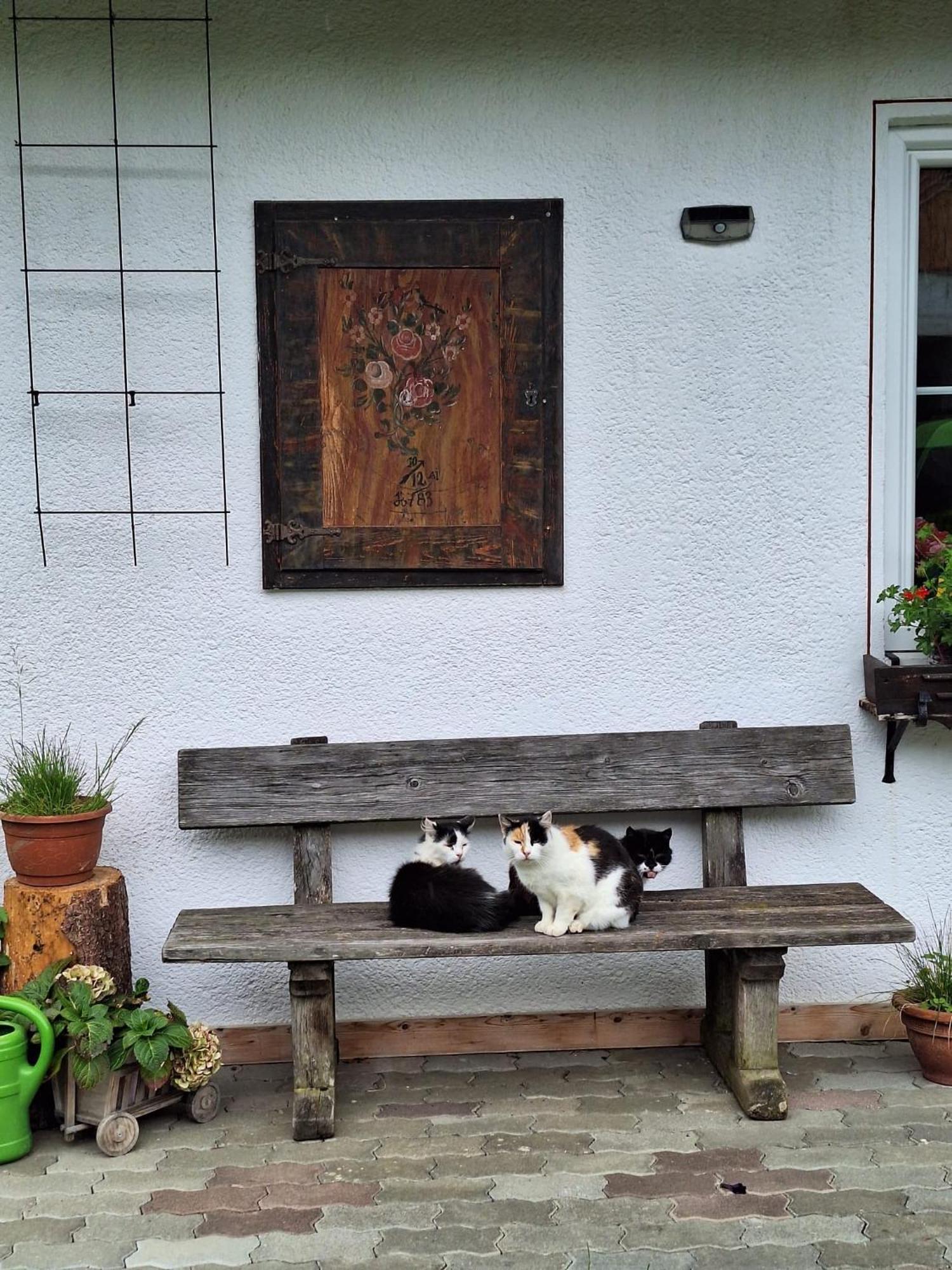 Boabauer Tamsweg Exterior foto